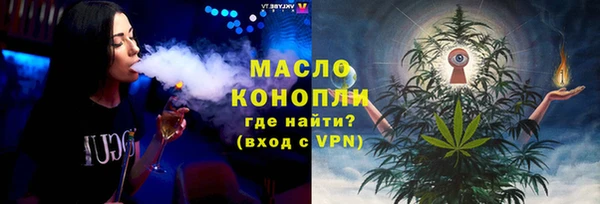 стаф Аркадак