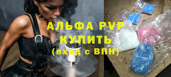 стаф Аркадак