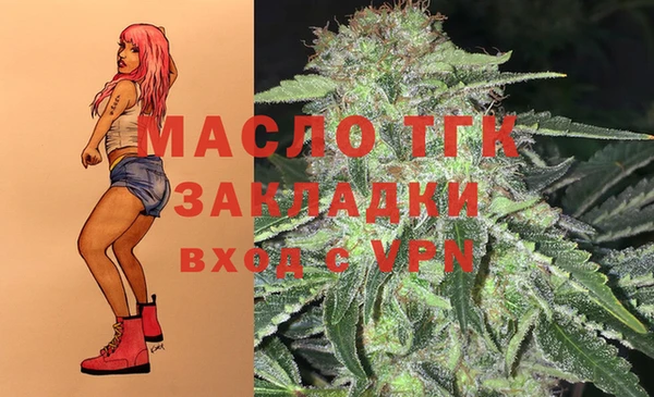 стаф Аркадак