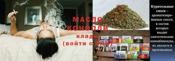 стаф Аркадак