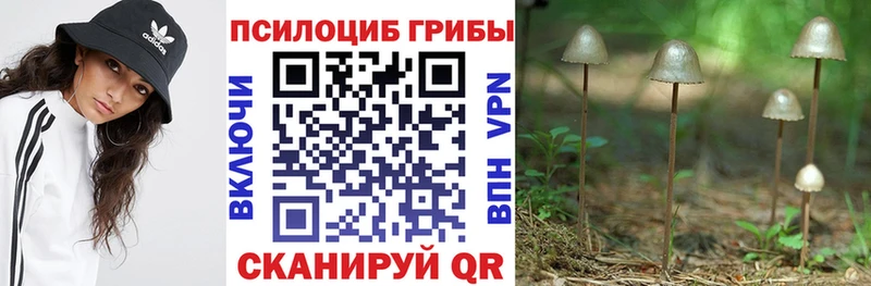 Псилоцибиновые грибы Psilocybine cubensis  кракен ТОР  Байкальск 